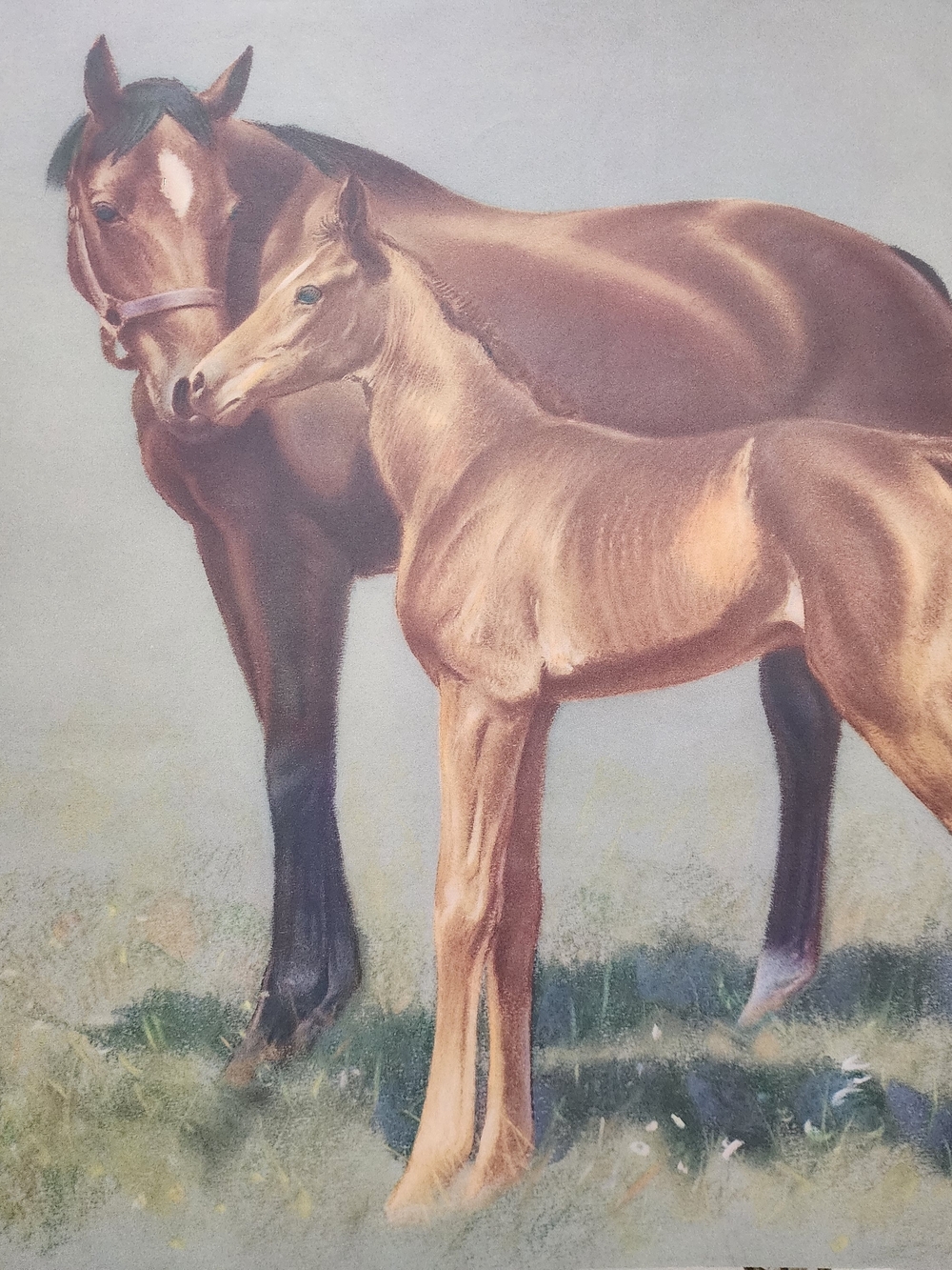 Vintage (1980's,)Lithograph Unframed "Mare And Colt"